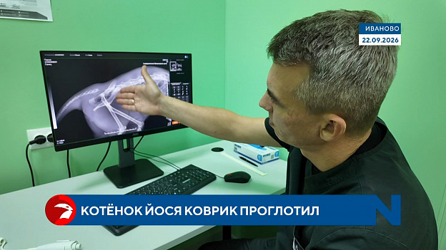 От лягушки до козла: редкие операции и уникальная диагностика в Верхневолжском ГАУ
